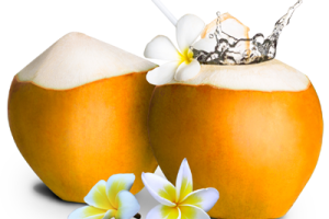 king coconut